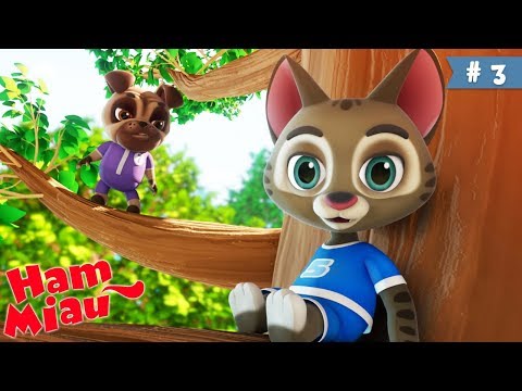 Ham Miau 🐶 Sus si jos 🐱 Desene animate pentru copii | HeyKids