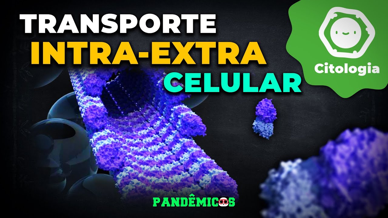 Transporte Intra/Extra Celular