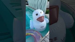 Sun Princess is certainly glowing! ☀️ #cruise #shorts