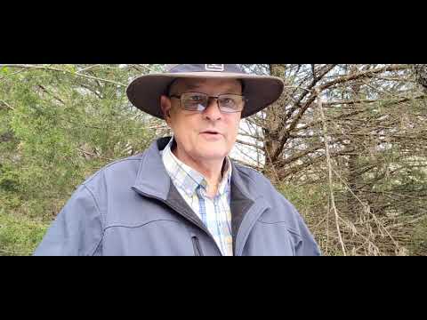 Now if anyone is not providing for his own, he disowned the faith, and is worse than an unbeliever