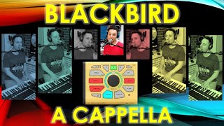 Video thumbnail for TC Helicon PERFORM-VE Vocal Harmonizer walk through + BLACKBIRD A cappella Cover by F Key Piano Man