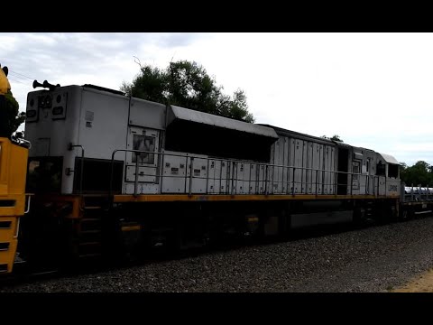 An Unusual sight in South Australia white LDP006 on Pacific National 2NY3 NR106 NR56 LDP006 17/01/23