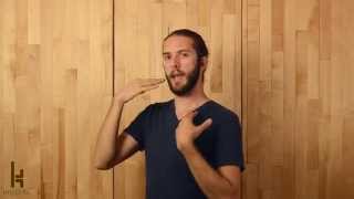 Video 1 trigger image