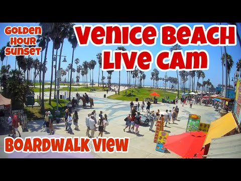 Venice Beach Boardwalk Live Cam 24/7 🌴 – Chill Vibes & Ocean Views 🌊🌴  | Los Angeles | people watch