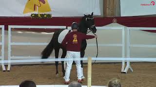 Video von For Pete VR