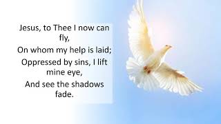 Jesus, To Thee I Now Can Fly