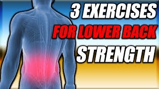 3 Exercises To Strengthen Your Lower Back