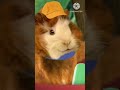 Showing The Wonder Pets How I Pull