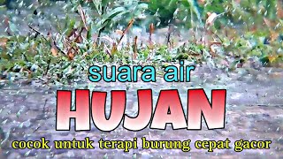 Download lagu suara air hujan untuk terapi burung cepat gacor, relaksasi suara hujan mp3 Download lagu suara air hujan untuk terapi burung cepat gacor, relaksasi suara hujan mp3