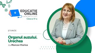 Organul auzului. Urechea