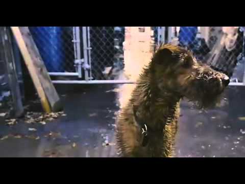 Firehouse Dog (2007) Official Trailer