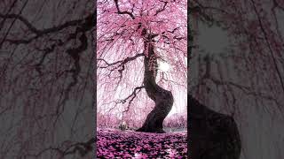 Download lagu #beautiful #fatamorgana #viral #fyp mp3