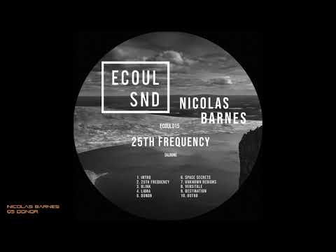 Nicolas Barnes - 05 Donor [ECOUL SND]