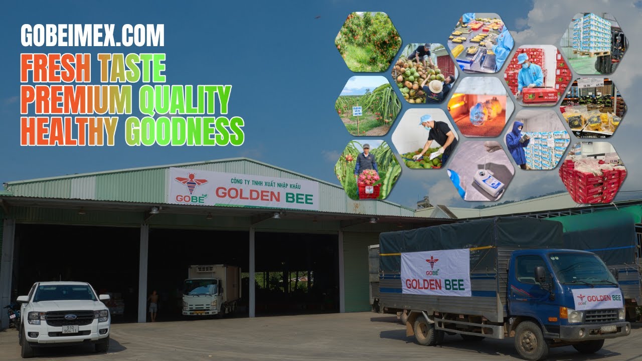 GOBE IMEX | Vietnam’s Leading Supplier of Premium Tropical Fruits & Vegetables