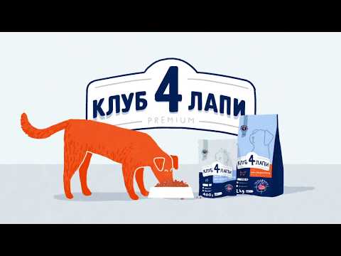Корм Клуб 4 лапы для котят с курицей - фото 1 - id-p2929433987