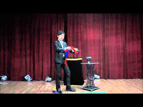 Auto Flame Electric Dove Pan by JL Magic - magicwarehouse.com