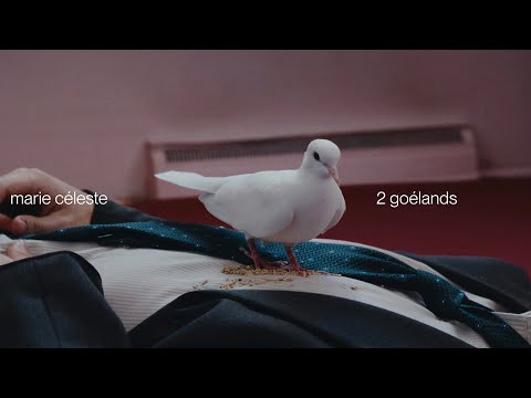 2 Goélands - Marie Céleste
