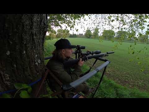 Deer stalking Scotland , In search of a Roe Buck (Episode 22)