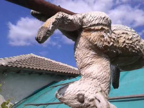 " Aykan Ayhan Sunnet Padina " 1