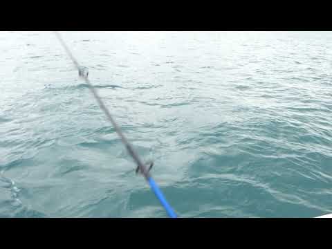 East Arnhem Fishing Adventures