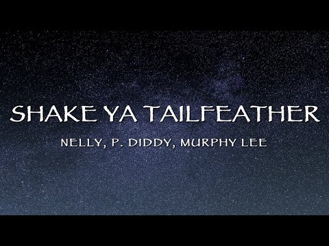 Nelly, P.  Diddy, Murphy Lee - Shake Ya Tailfeather (Lyrics)