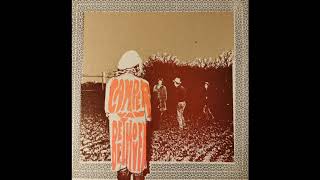 Camper Van Beethoven  - The Day That Lassie Went To The Moon