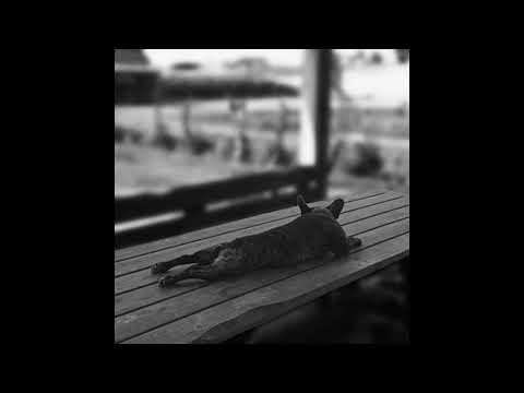 Precel-mam vvyjebane