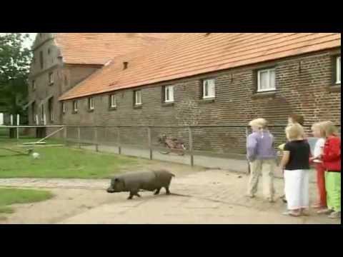 kasteel ooijen broekhuizenvorst