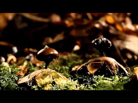 A M R ft Claire Willis - Summer Pierre In The Air(Alter Ego Progressive mix)