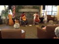 Acoustic Eidolon plays "Stonehaven"