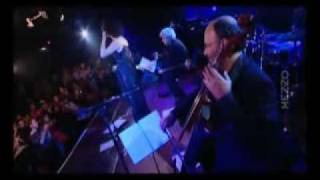 O amor em paz - Eu e o meu amor