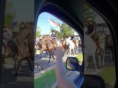 Tradición Viva: Cabalgata Brocheriana hacia el Santo