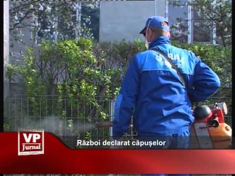 Război declarat căpușelor