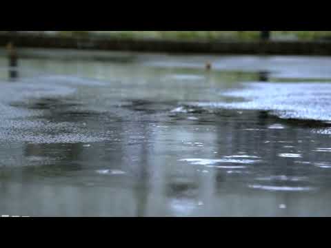 soggy piece of cardboard