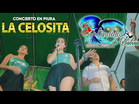 ESPLENDIDOS DE SALVIA ► LA CELOSITA  ( EN VIVO) - EX POLVORINES_PIURA