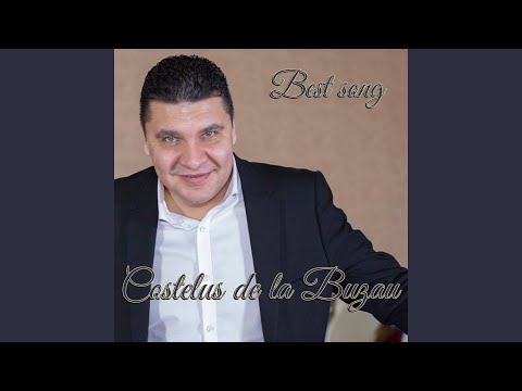 Cat Am Maini Si Am Picioare