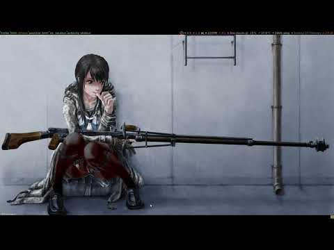 Linux, Awesome WM, Terminator, Emacs