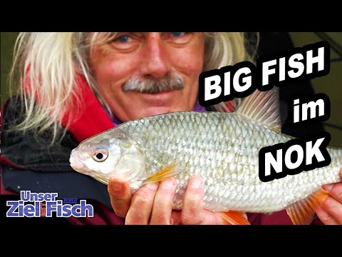 BIG FISH in the NORTH BALTIC SEA CANAL - FEEDING IN A STORM with JÖRG OVENS - Our goal is fish - ...
