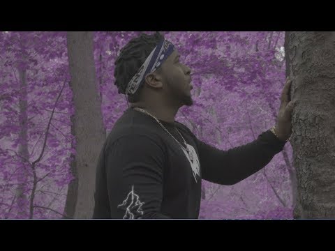 Dr. Dunny - Purple Trees (Official Music Video)