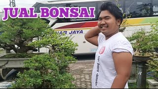 Download lagu Cek Harga Bonsai mp3 Download lagu Cek Harga Bonsai mp3
