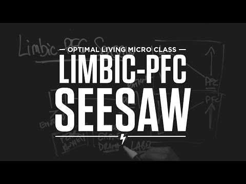 Micro Class: Limbic-PFC Seesaw