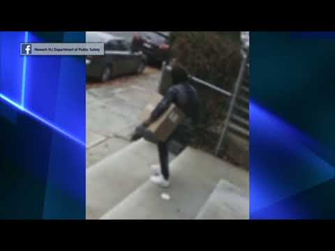 Newton Package Theft