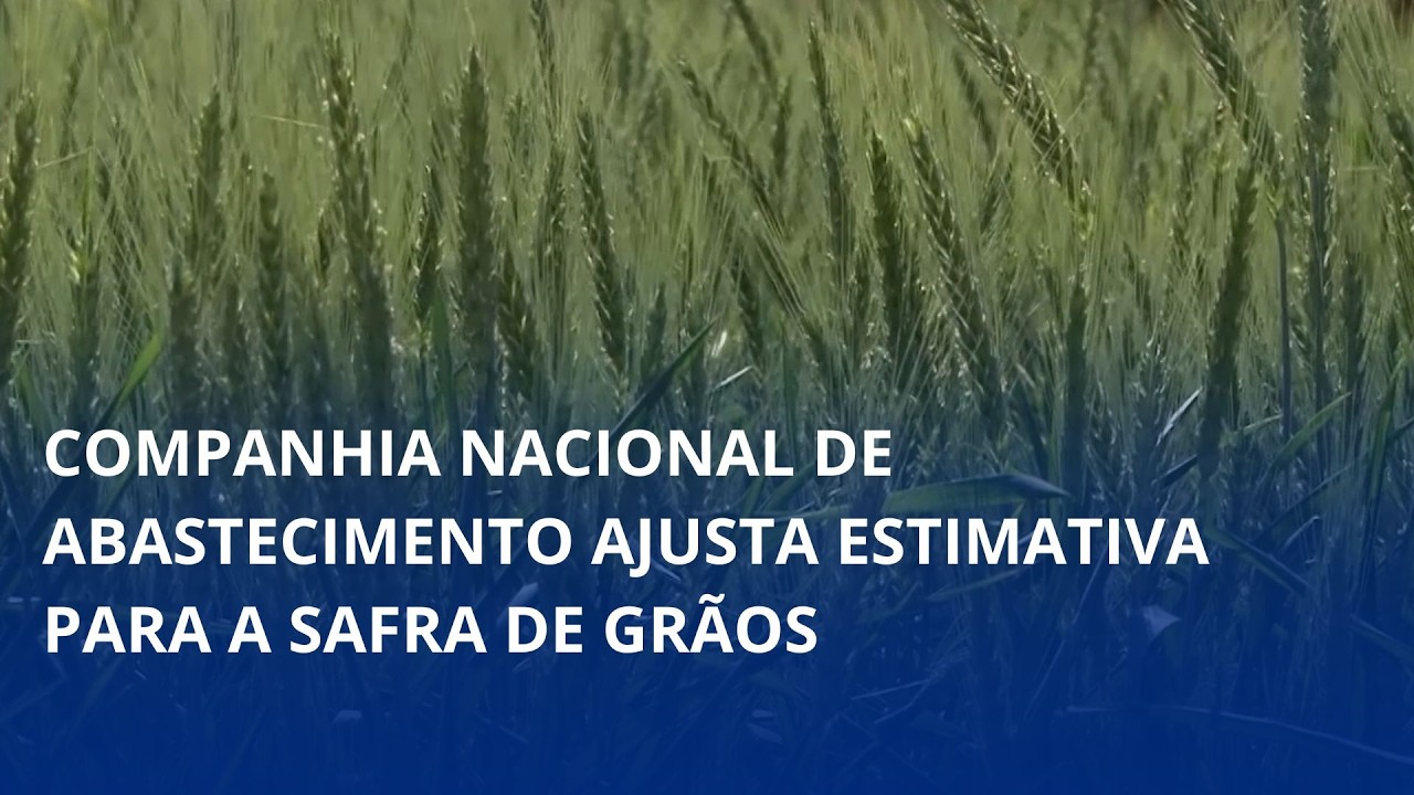 Companhia Nacional de Abastecimento ajusta estimativa para a safra de grãos