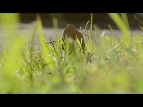 Autorretrato. Dirección de Arte II.  Final en Tutoría. Autorretrato.
