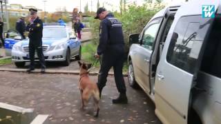 preview picture of video 'Polizeihunde: Bombendrohung Bahnhof Waiblingen 23.10.2013'