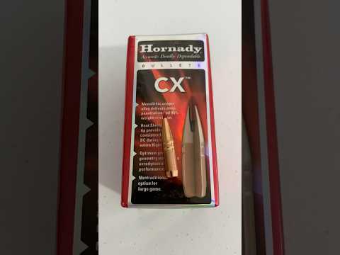 TOP 5 Best .30-06 Ammo for Big-Game - Madman Review