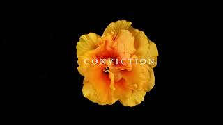 Conviction Music Video