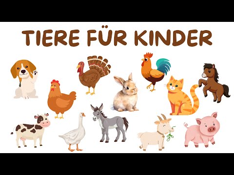 Tiere für Kinder | lernen die Tiere kennen | Haustiere und Bauernhoftiere (Nutztiere) für Kinder