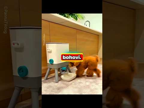 STROJ Pro ŠTĚNĚ!🍎😱