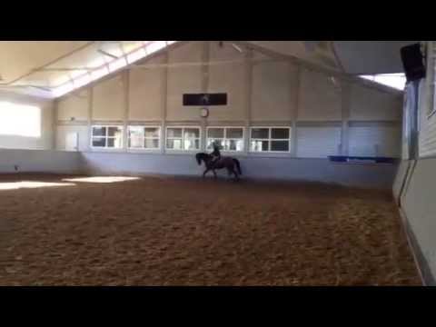 CONTAURA *2011, Contendro ll X Lancer lll X Pilot